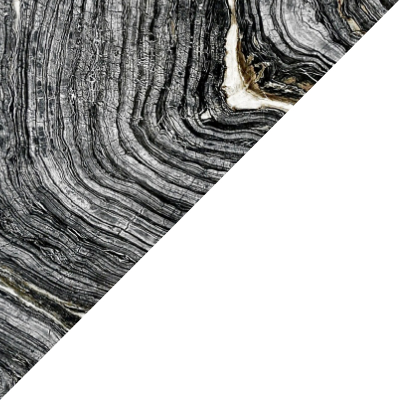 Silver Wave (Stein außen) / Verkehrsweiß (RAL 9016 innen)